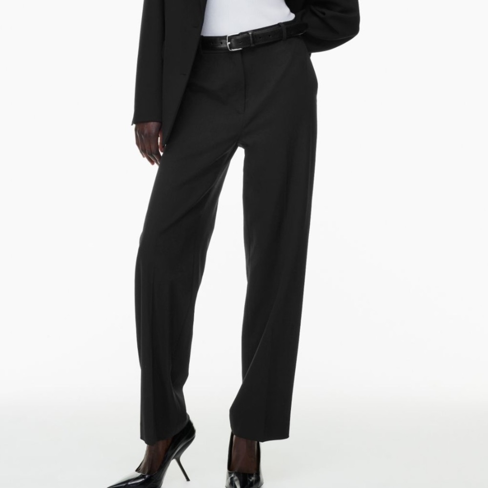 Aritizia Babaton agency pants